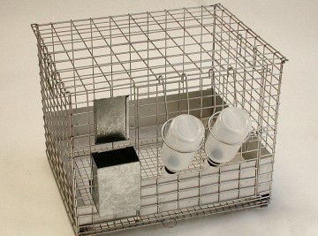 gaiola-para-ratos-animais-laboratorio